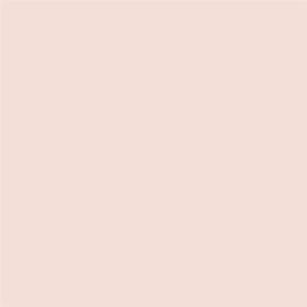 05 Nude Rose
