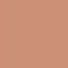 503 Warm Nude