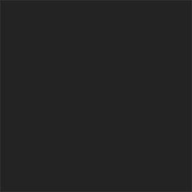 16 Black