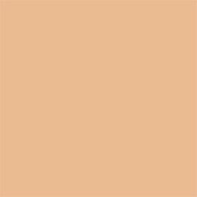 WB30 Warm Beige