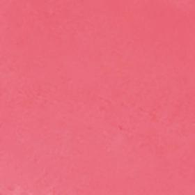 01 Coral Rose 1