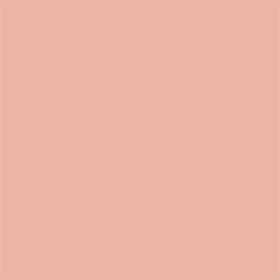 401 Cachemire Beige