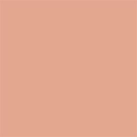 402 Peachy Nude 70